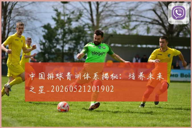 中国排球青训体系揭秘:培养未来之星_20260521201902